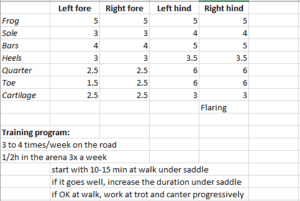 Hoof assessment KC Lapierre
