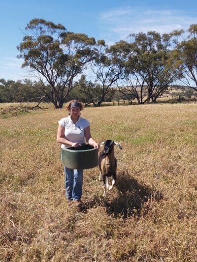 Farm sitting (Western Australia)