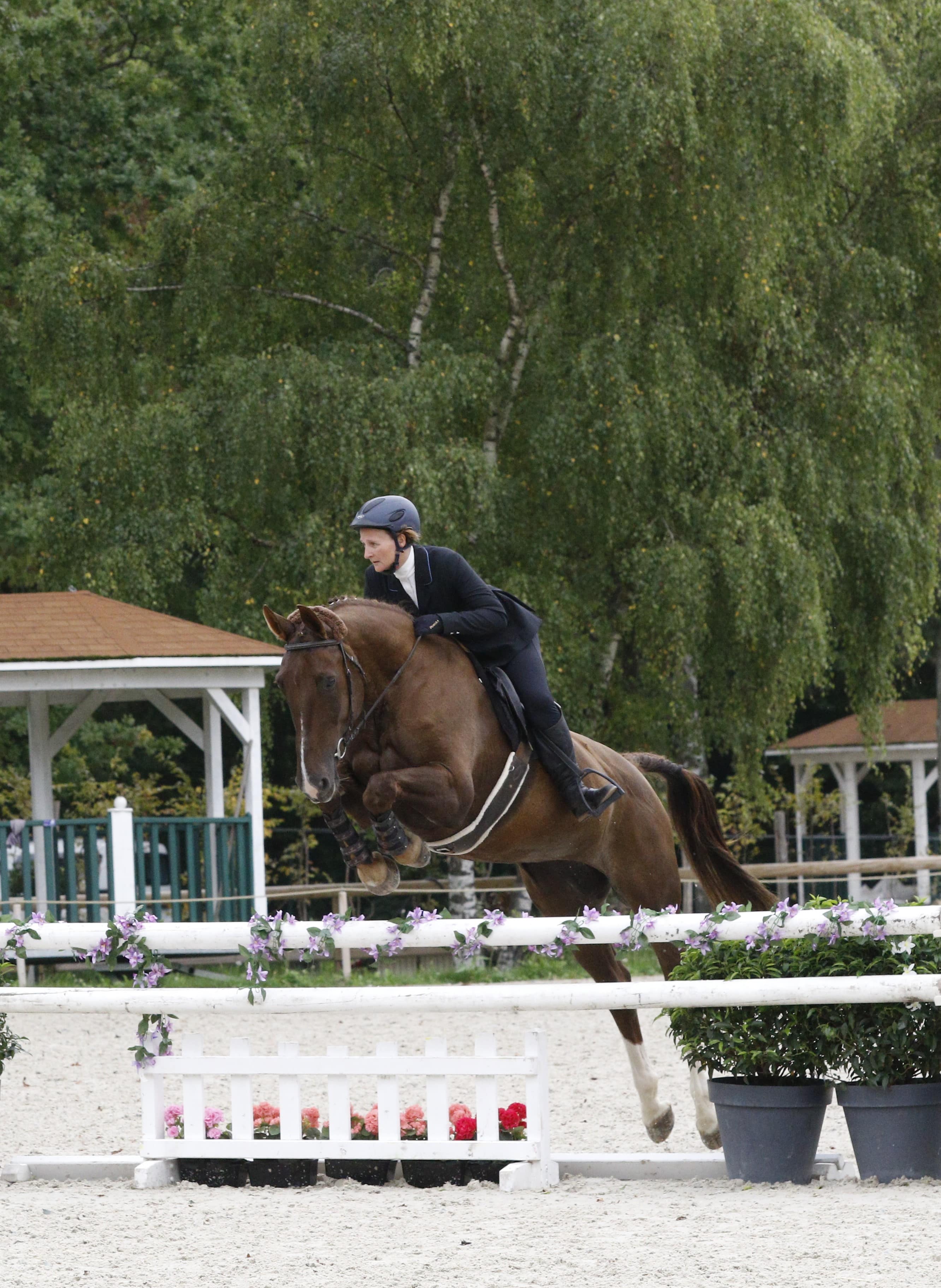 Hunter and natural horsemanship